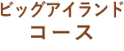 ビイッグアイランド