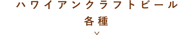 ハワイアンクラフトビール各種　